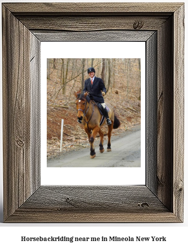 horseback riding near me in Mineola, New York